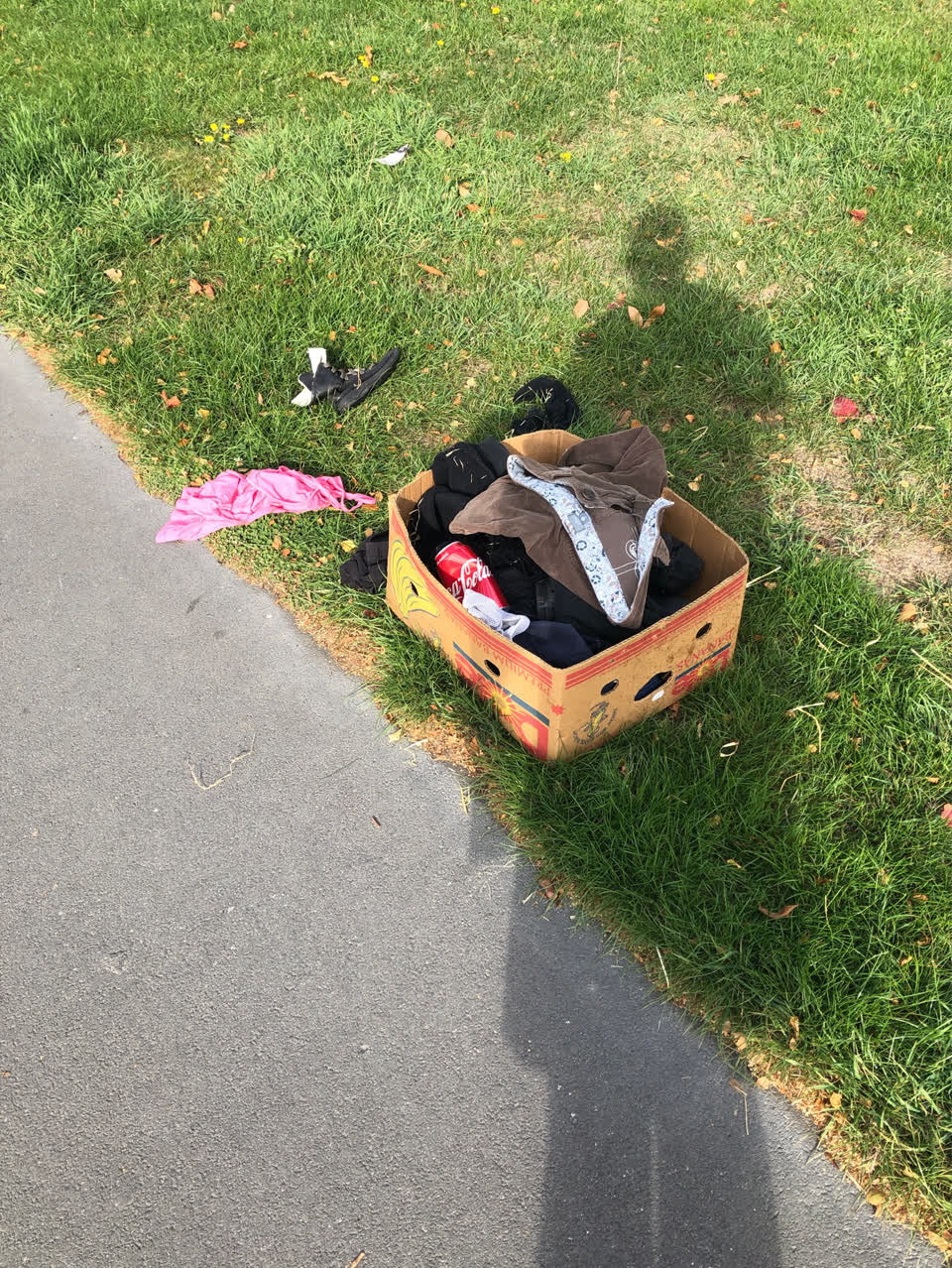 The photograph attached to this rubbish/recycling report