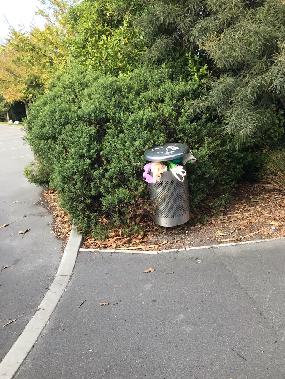 The photograph attached to this rubbish/recycling report