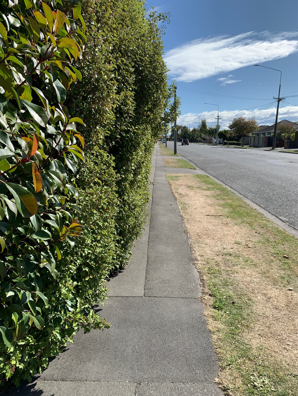 The photograph attached to this parks report