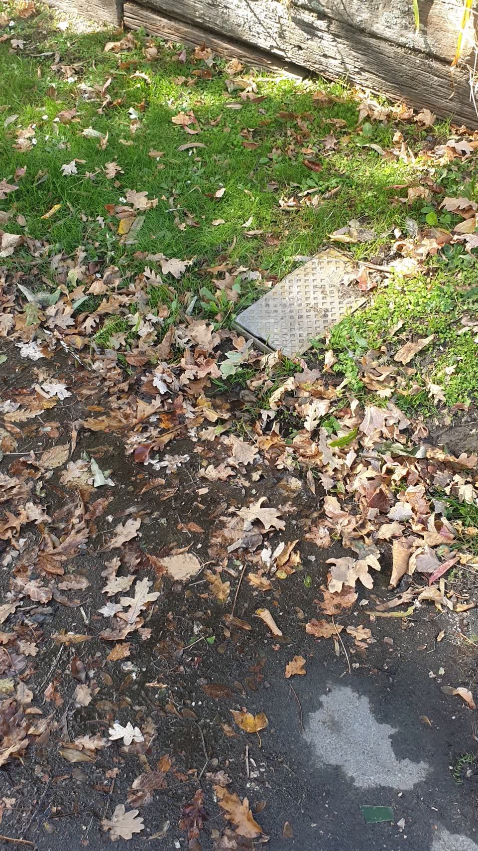 The photograph attached to this water supply report