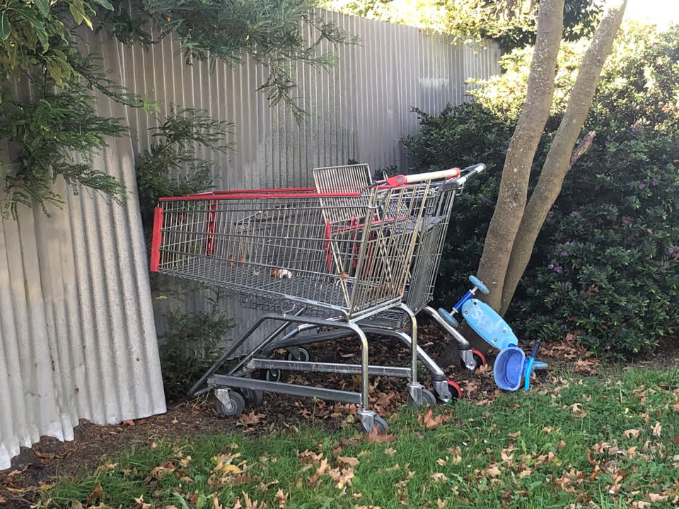 The photograph attached to this parks report