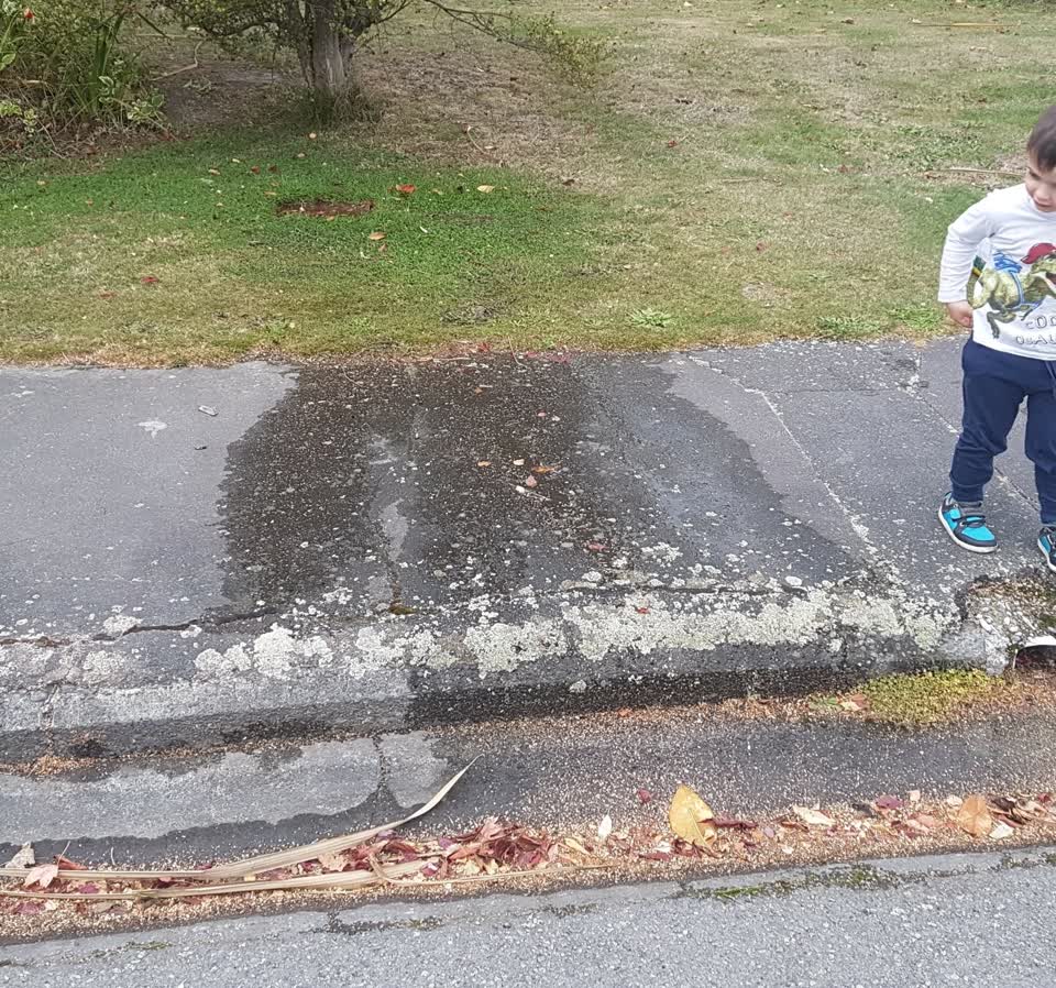 The photograph attached to this water supply report