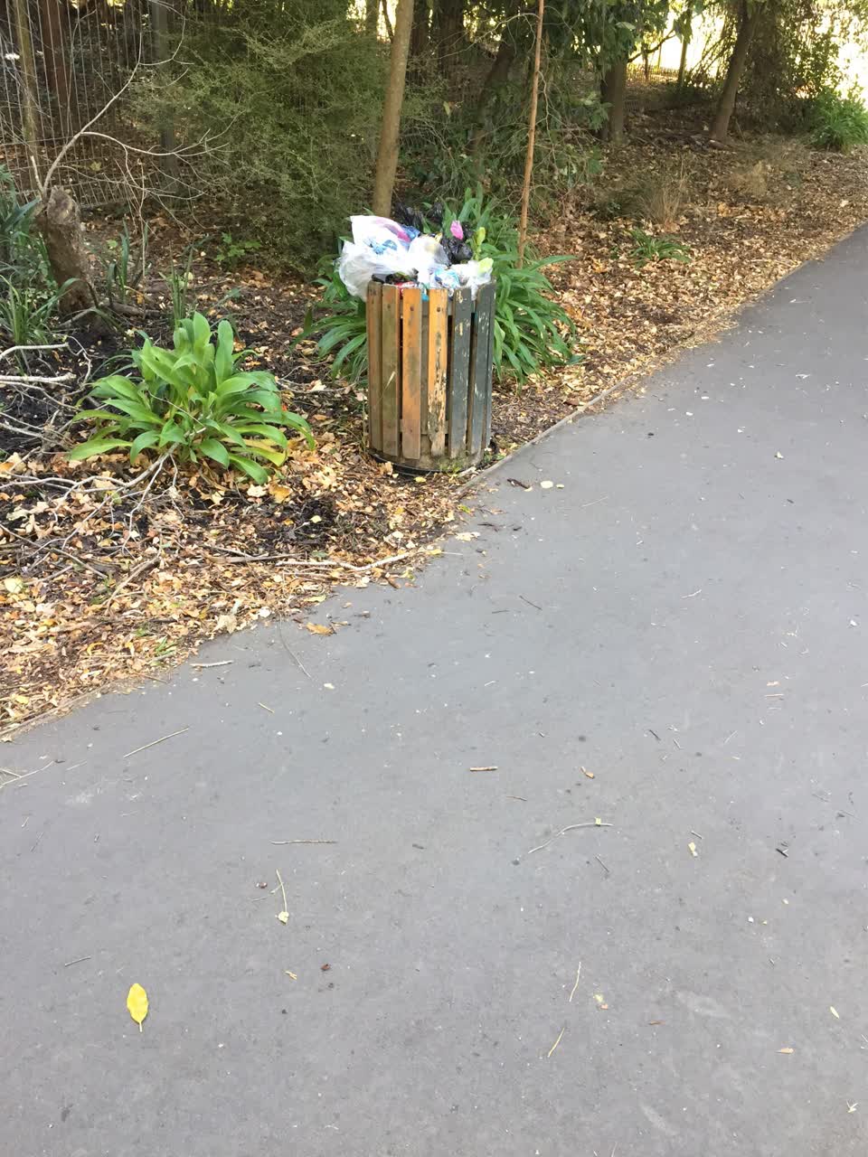 The photograph attached to this rubbish/recycling report