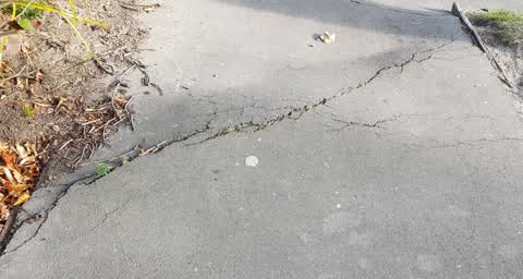 Roading/Streets, a report photo