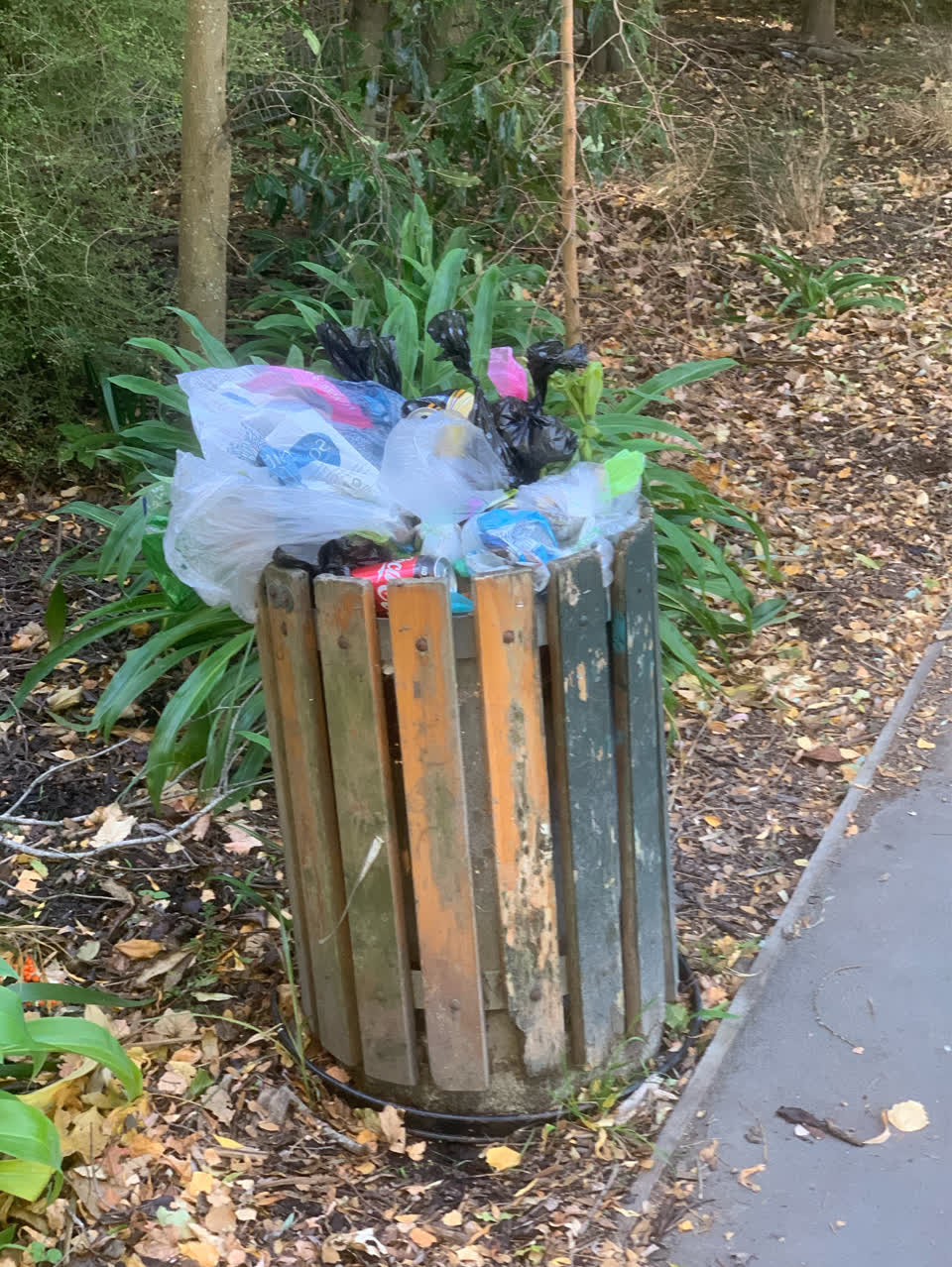 The photograph attached to this rubbish/recycling report