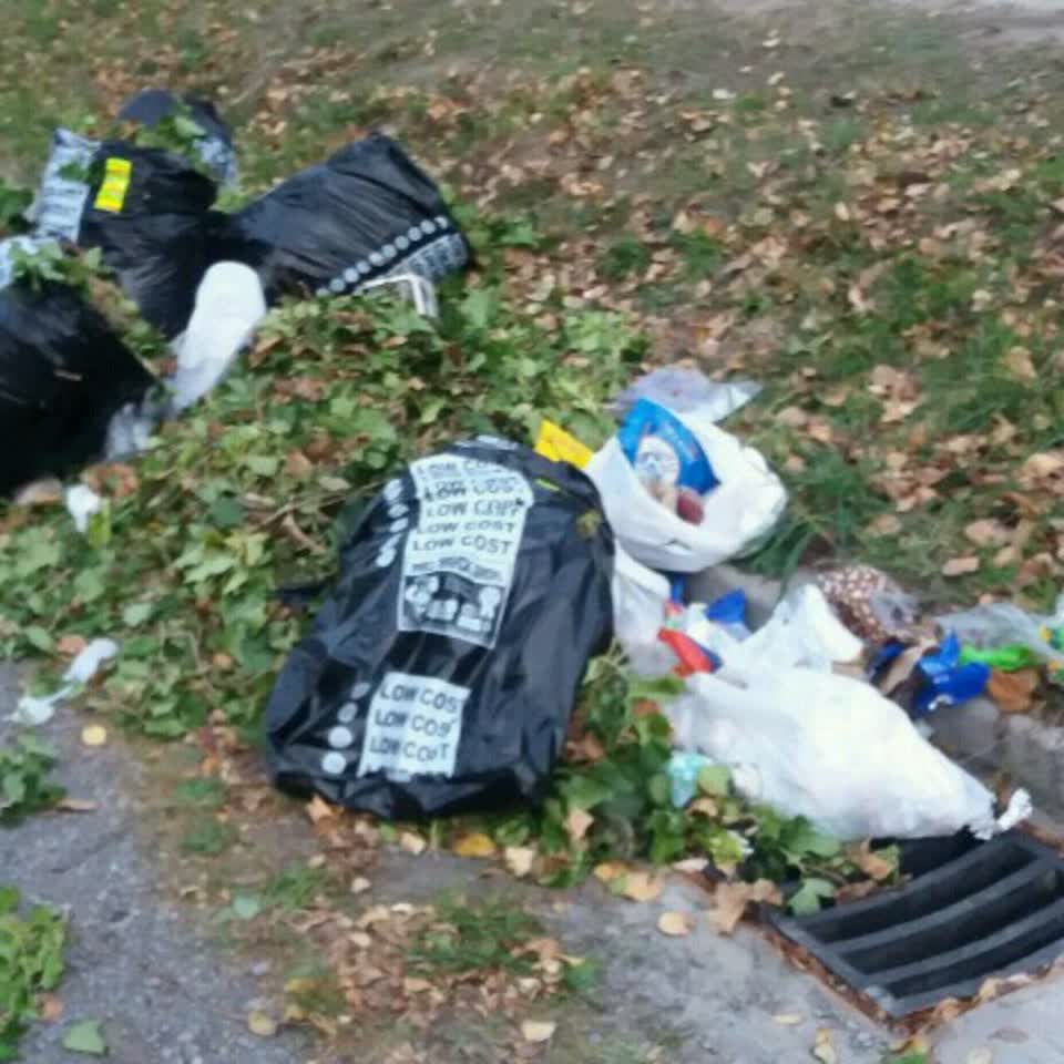 The photograph attached to this rubbish/recycling report