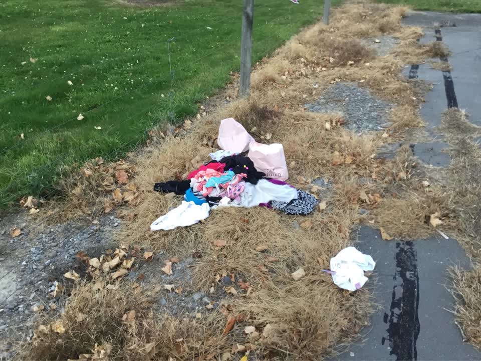 The photograph attached to this rubbish/recycling report