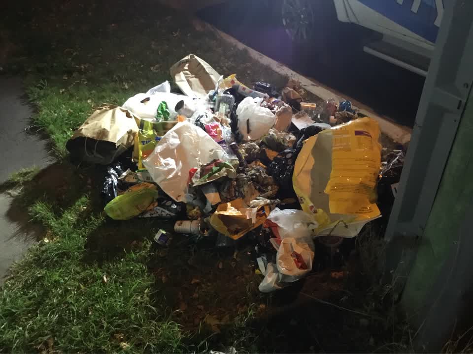 The photograph attached to this rubbish/recycling report