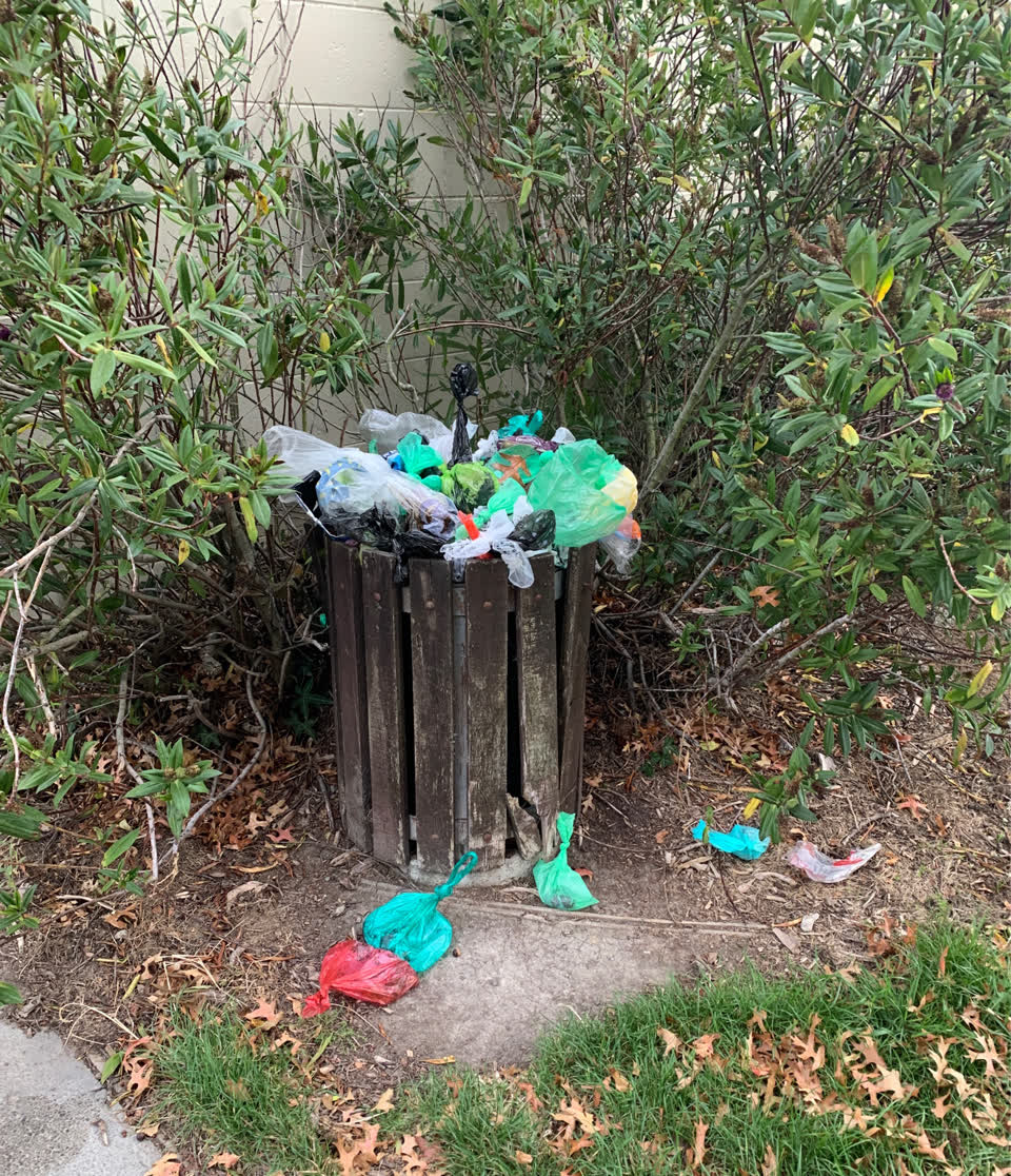 The photograph attached to this rubbish/recycling report