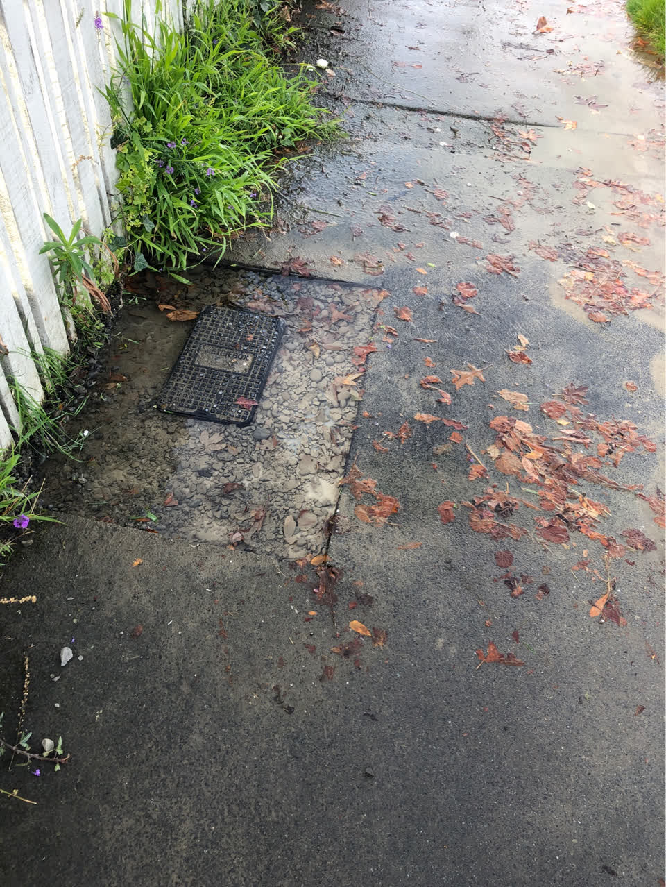 The photograph attached to this water supply report