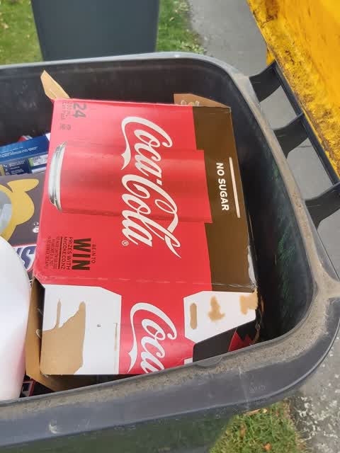Rubbish/Recycling, a report photo