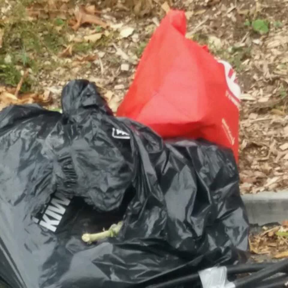The photograph attached to this rubbish/recycling report
