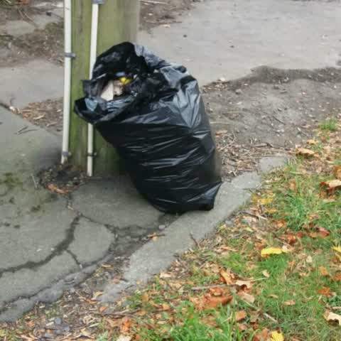 Rubbish/Recycling, a report photo