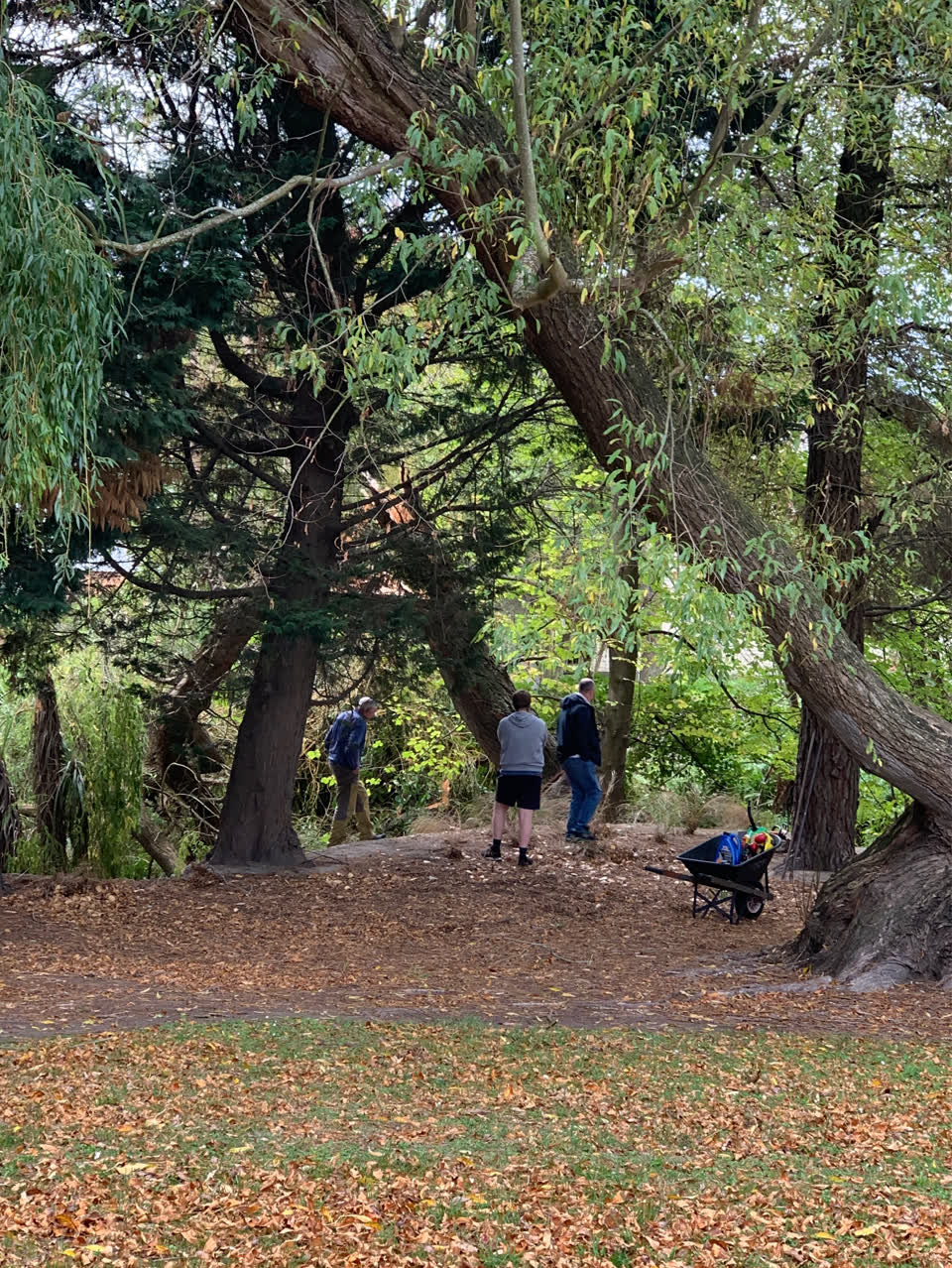 The photograph attached to this parks report