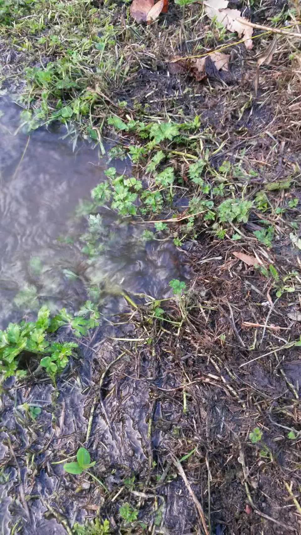 The photograph attached to this water supply report