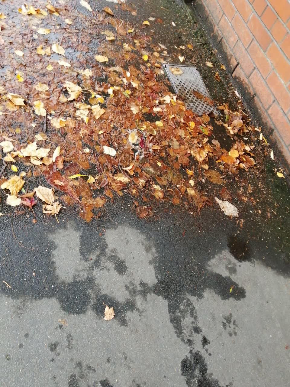 The photograph attached to this water supply report