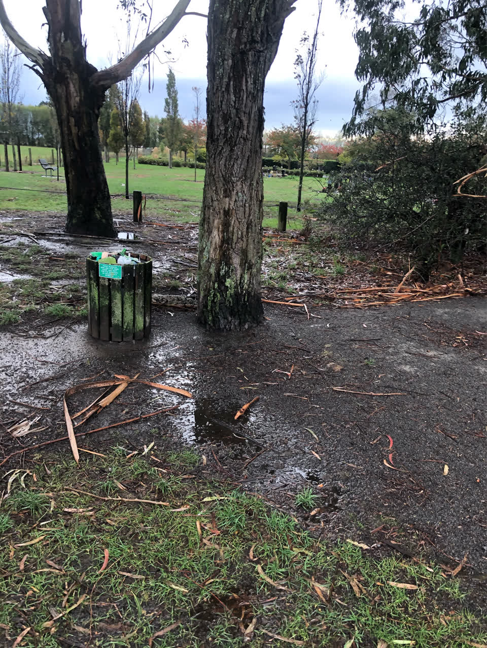 The photograph attached to this parks report