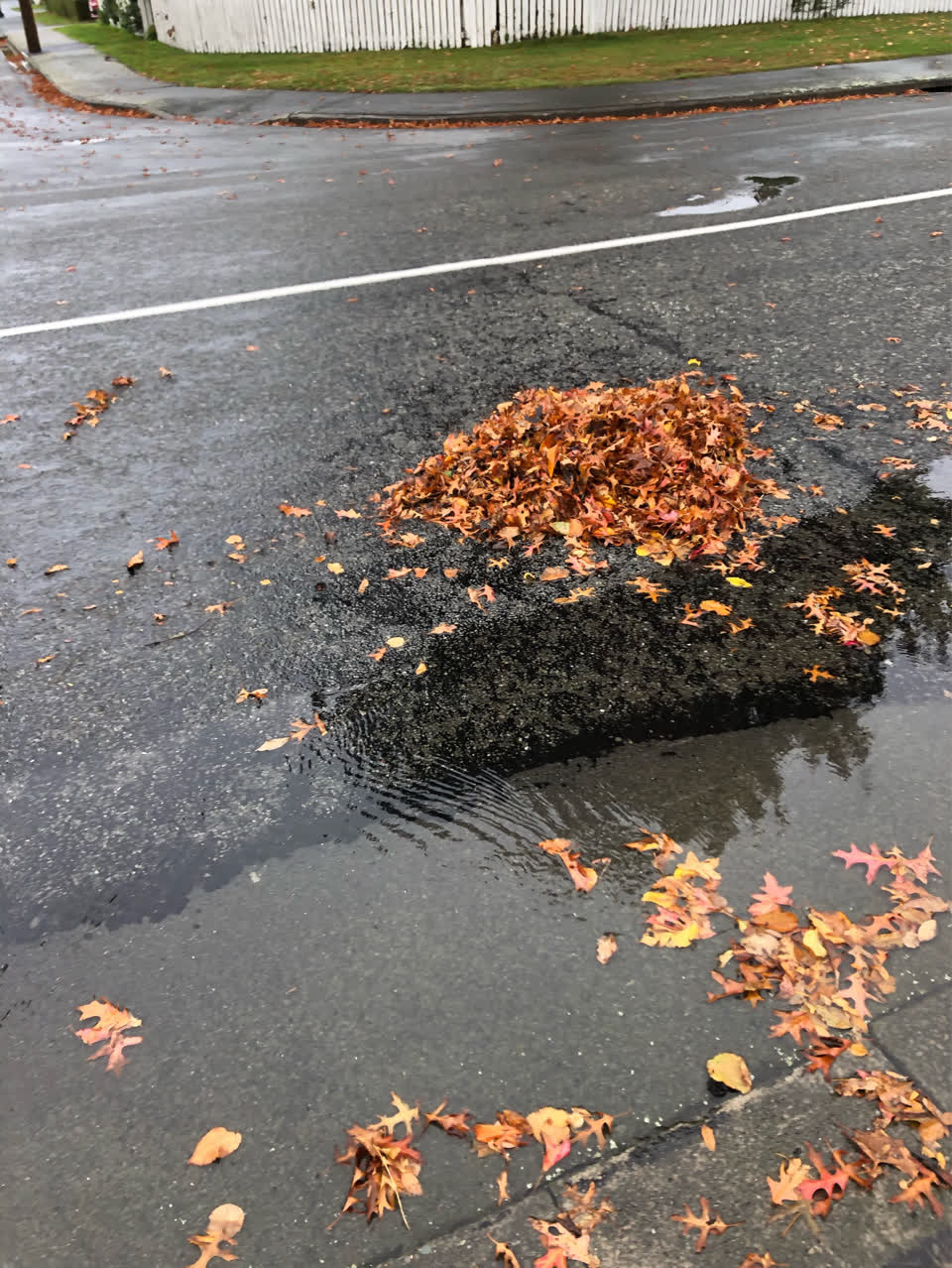The photograph attached to this flooding report