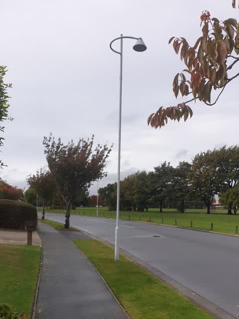 Roading/Streets, a report photo