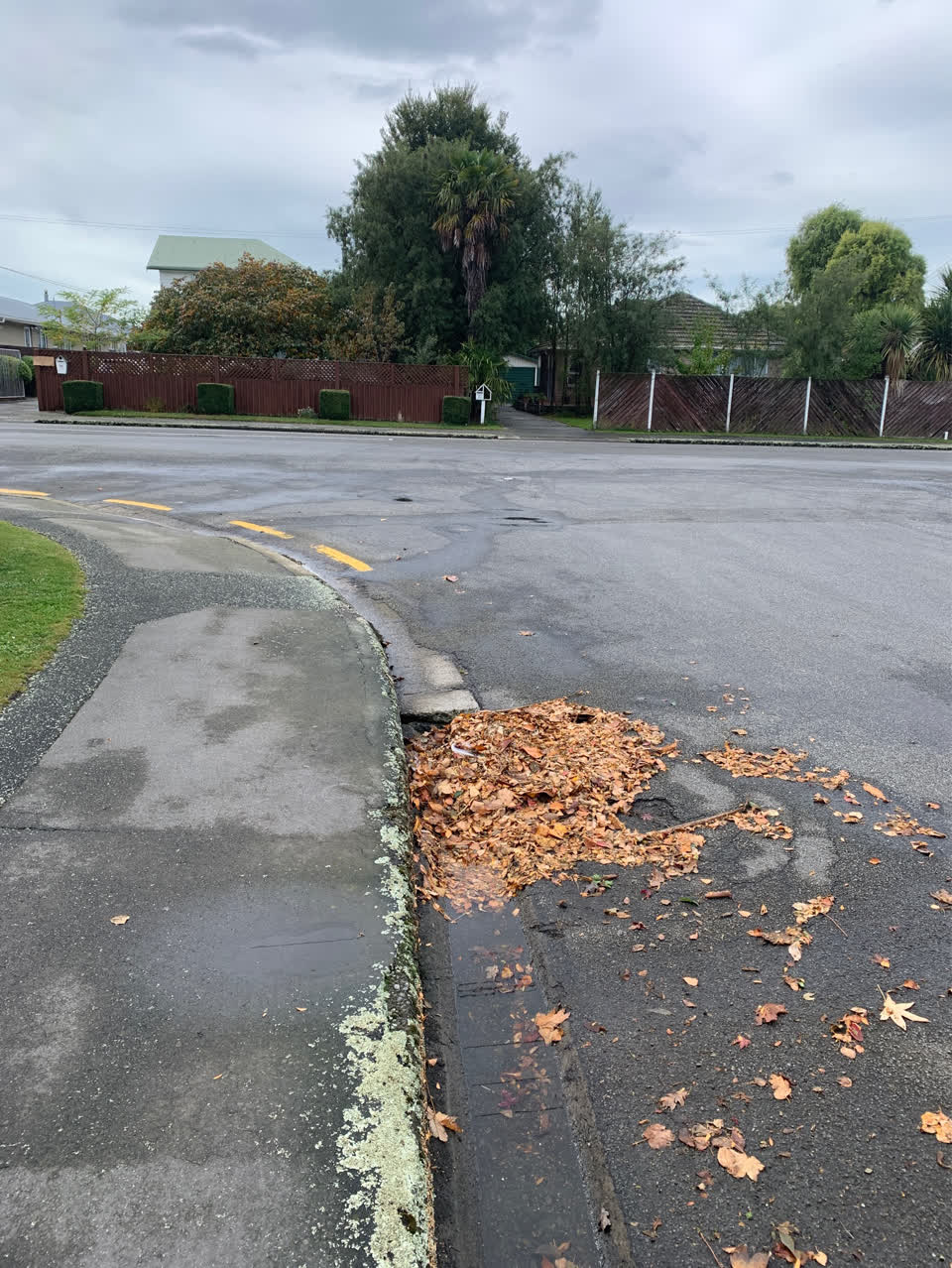 The photograph attached to this roading/streets report