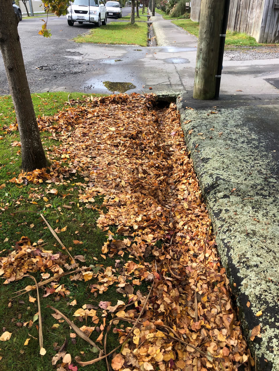 The photograph attached to this wastewater/stormwater report