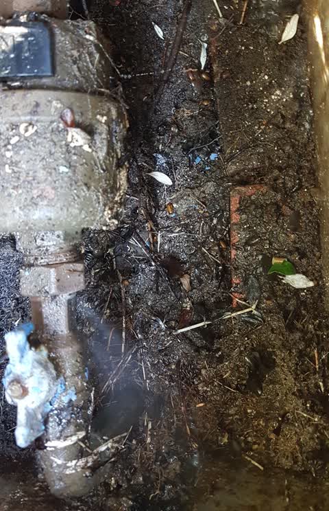 Water Supply, a report photo