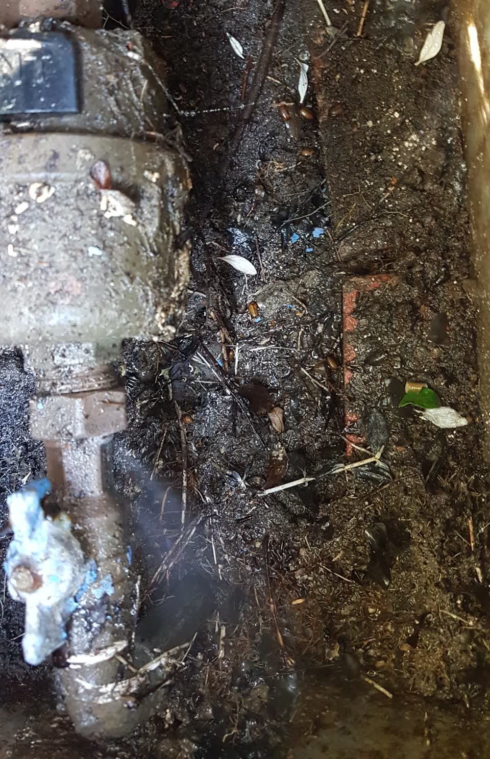 The photograph attached to this water supply report