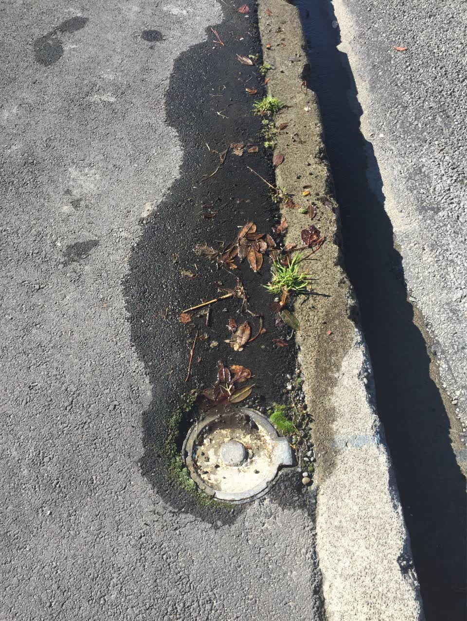 The photograph attached to this water supply report