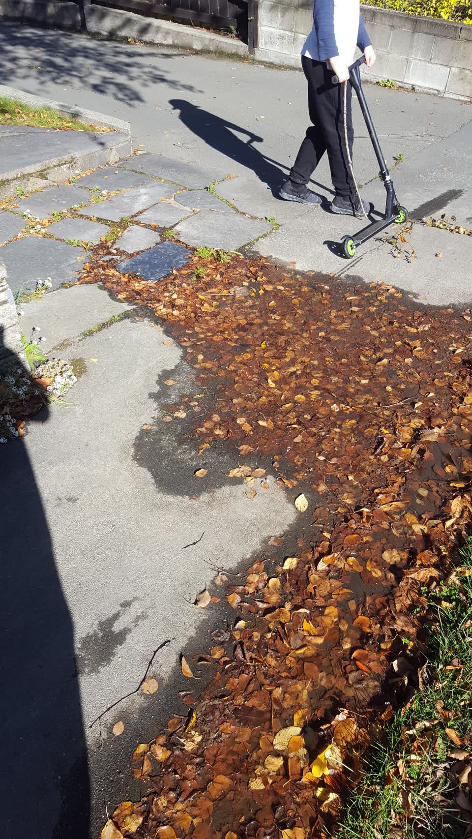 The photograph attached to this water supply report