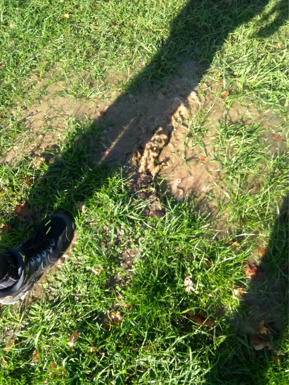 The photograph attached to this flooding report