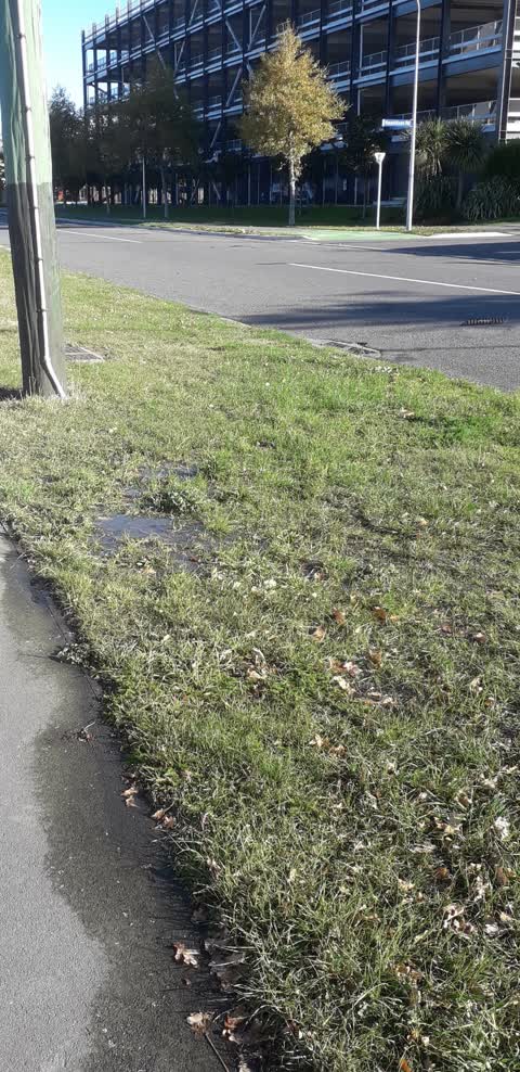 Flooding, a report photo