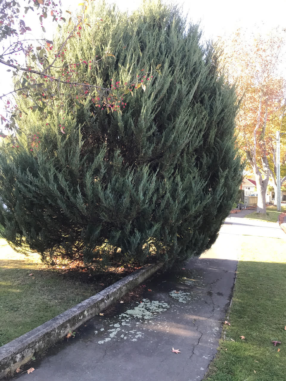 The photograph attached to this roading/streets report