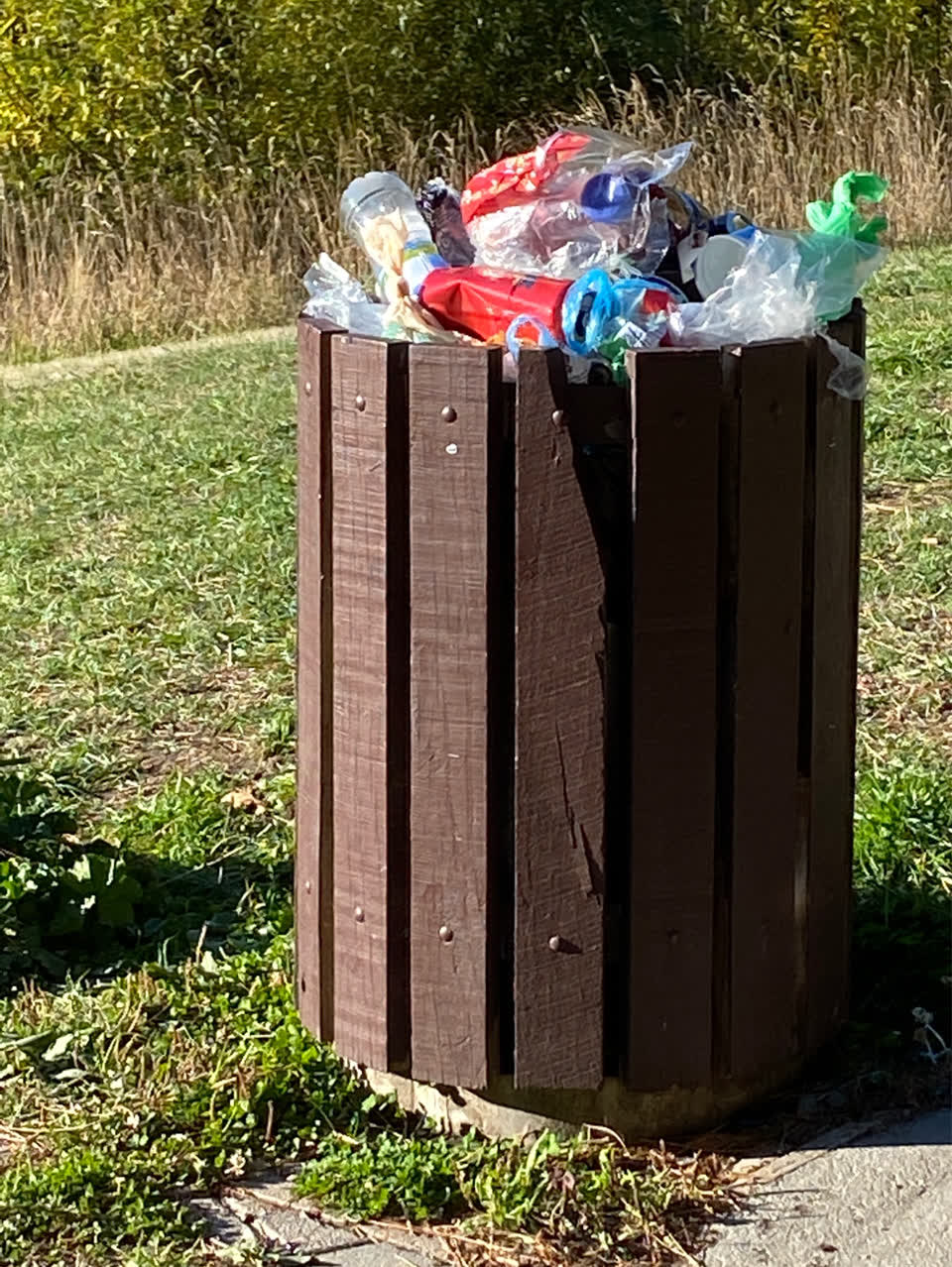 The photograph attached to this parks report