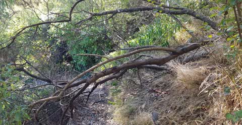 Parks, a report photo