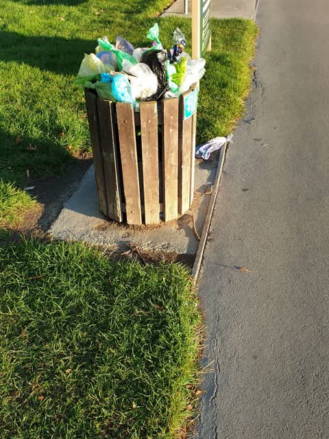 Rubbish/Recycling — a report photo