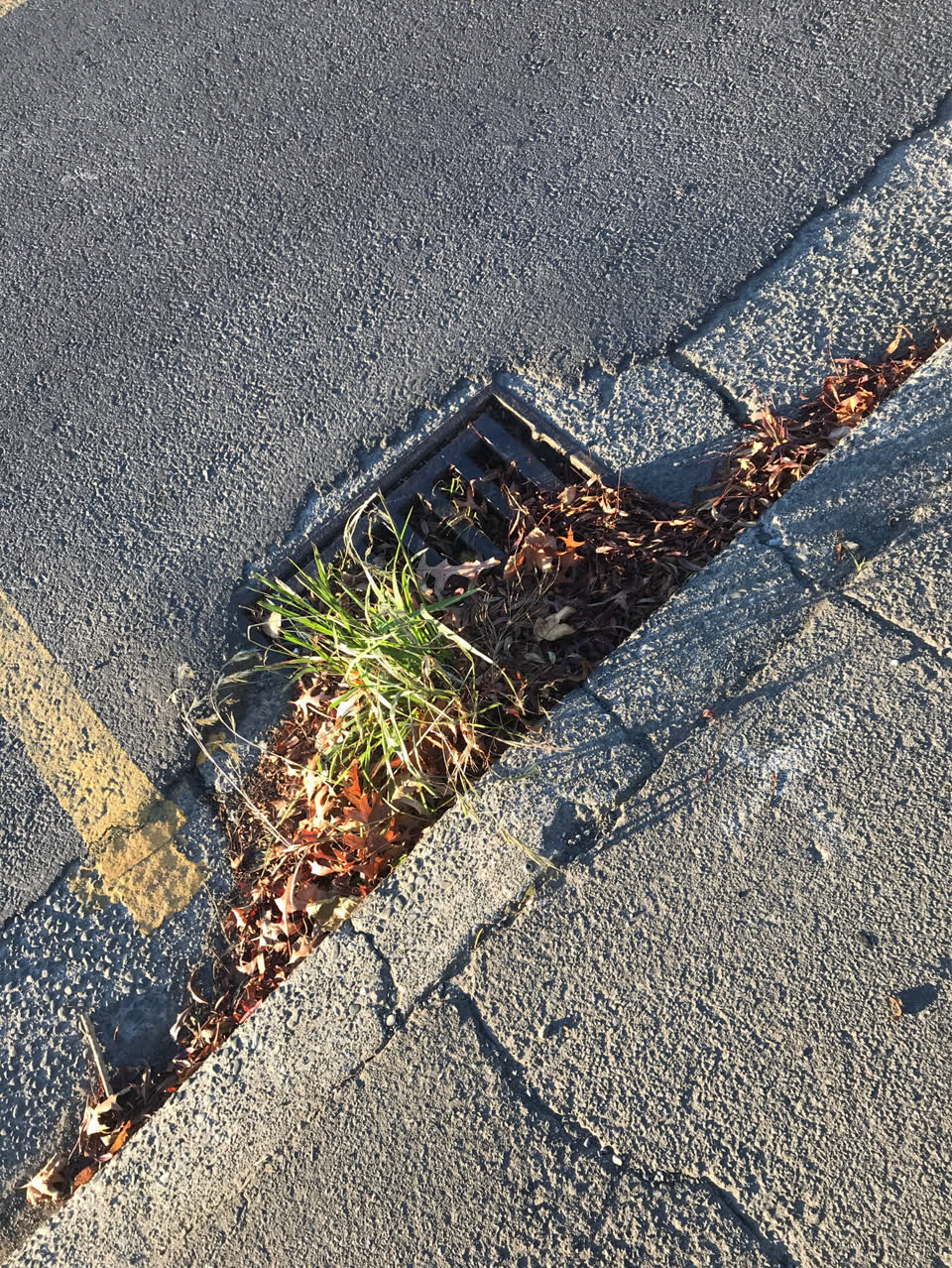 The photograph attached to this flooding report