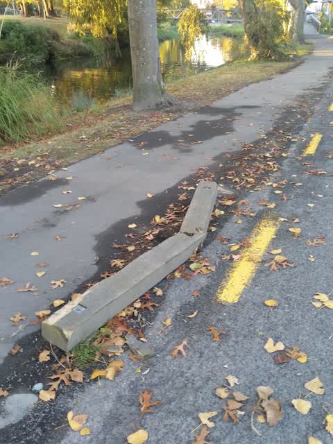 Roading/Streets, a report photo