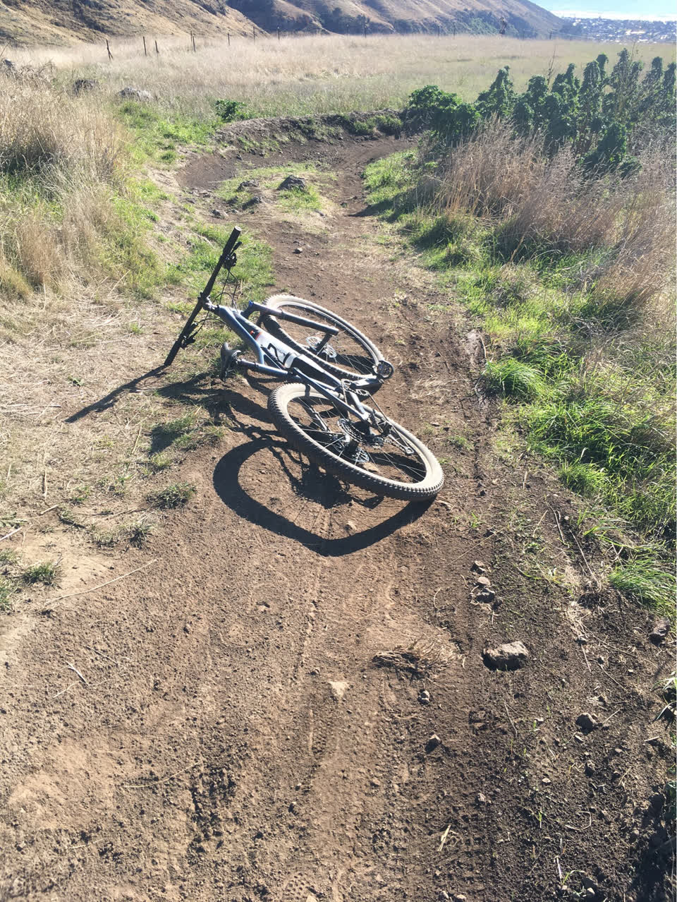 The photograph attached to this parks report