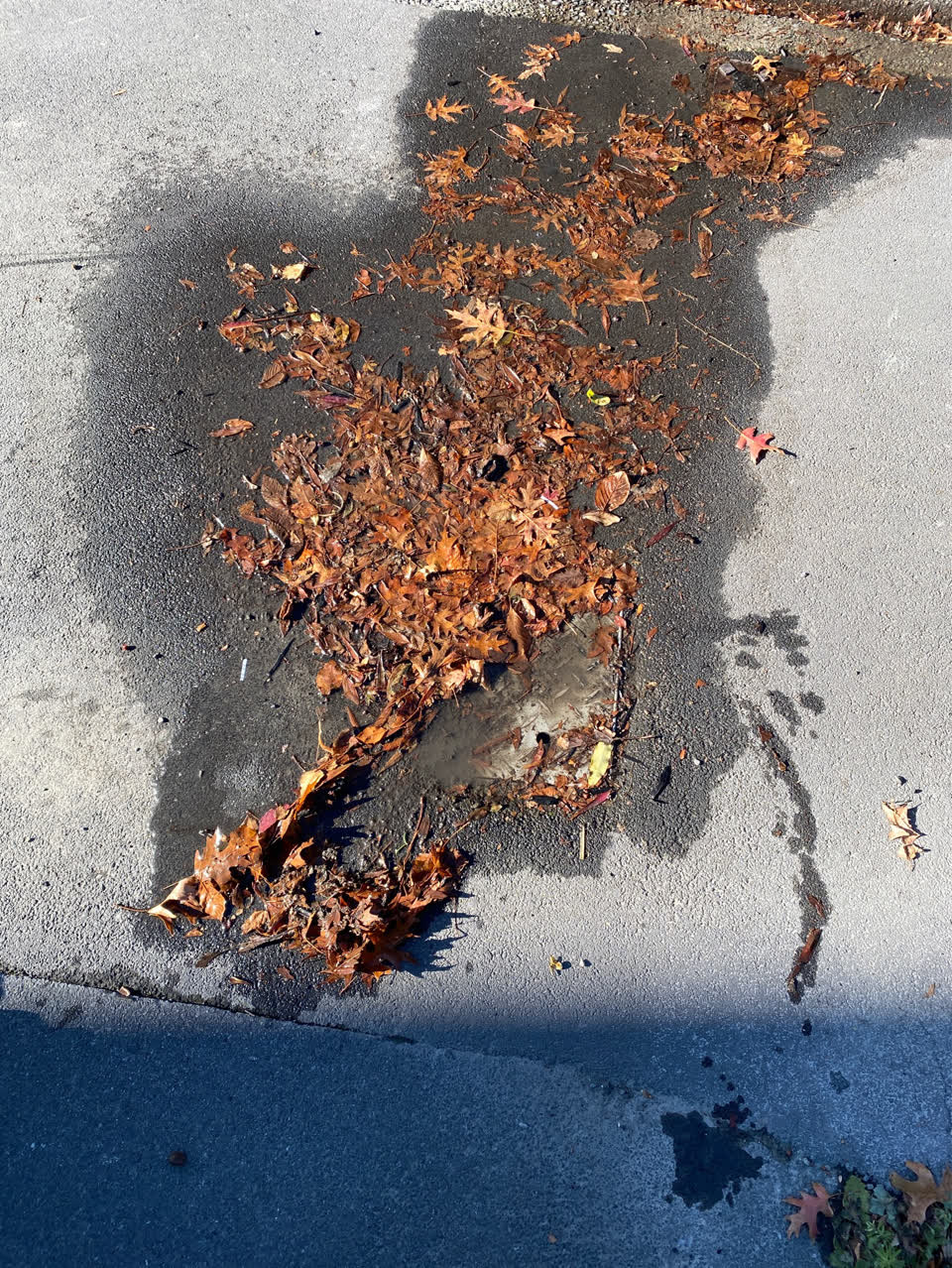 The photograph attached to this water supply report