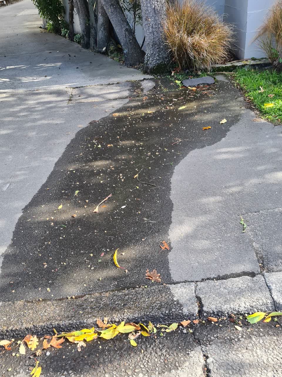 The photograph attached to this water supply report