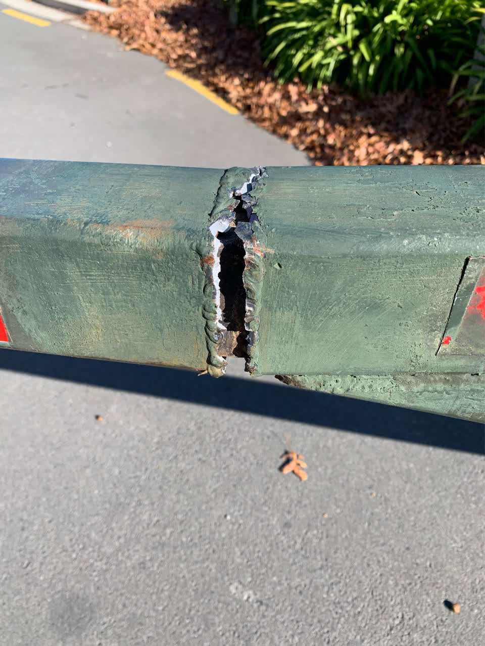 The photograph attached to this parks report