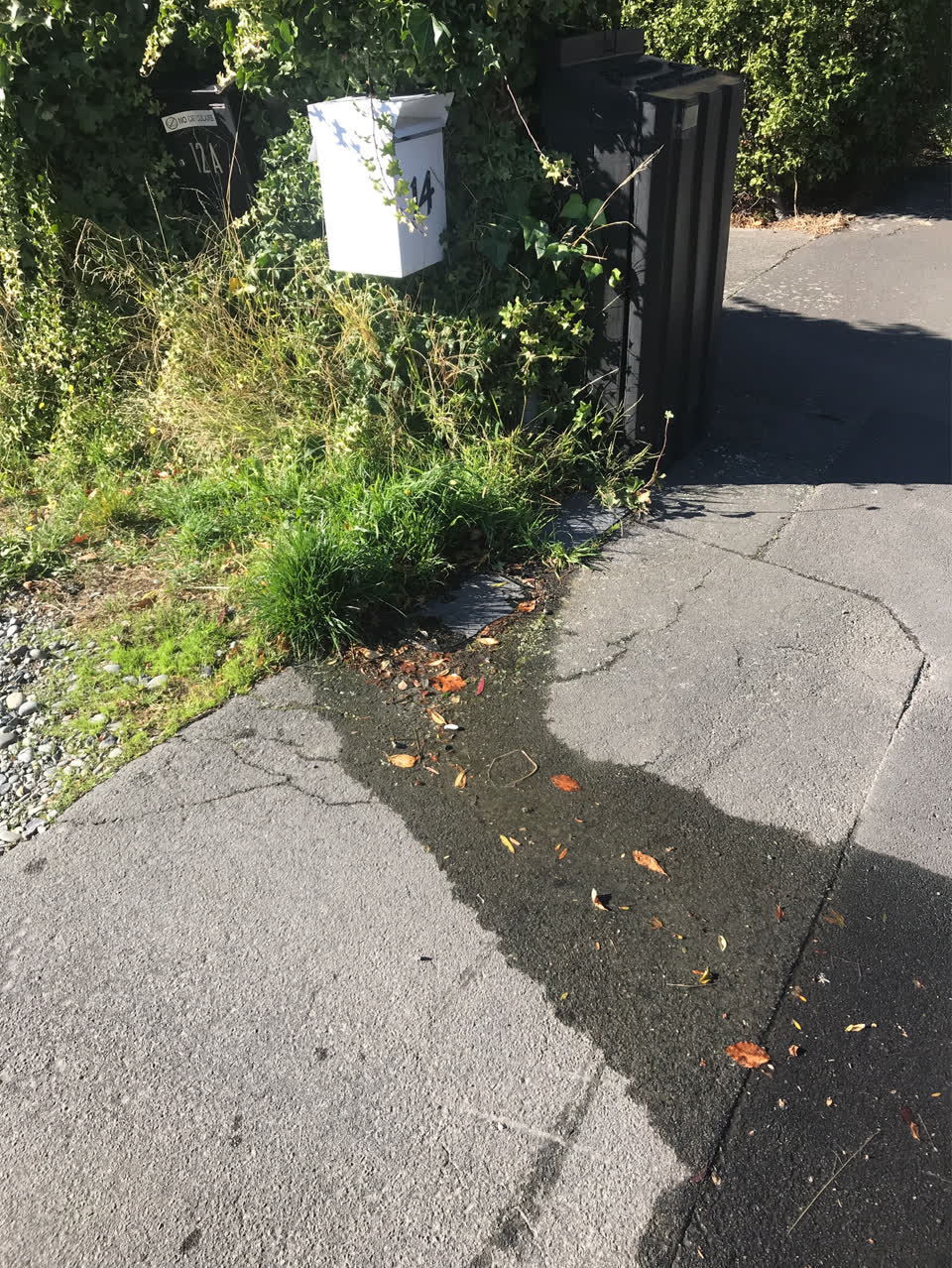 The photograph attached to this water supply report