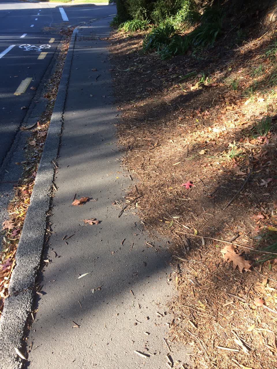 The photograph attached to this parks report