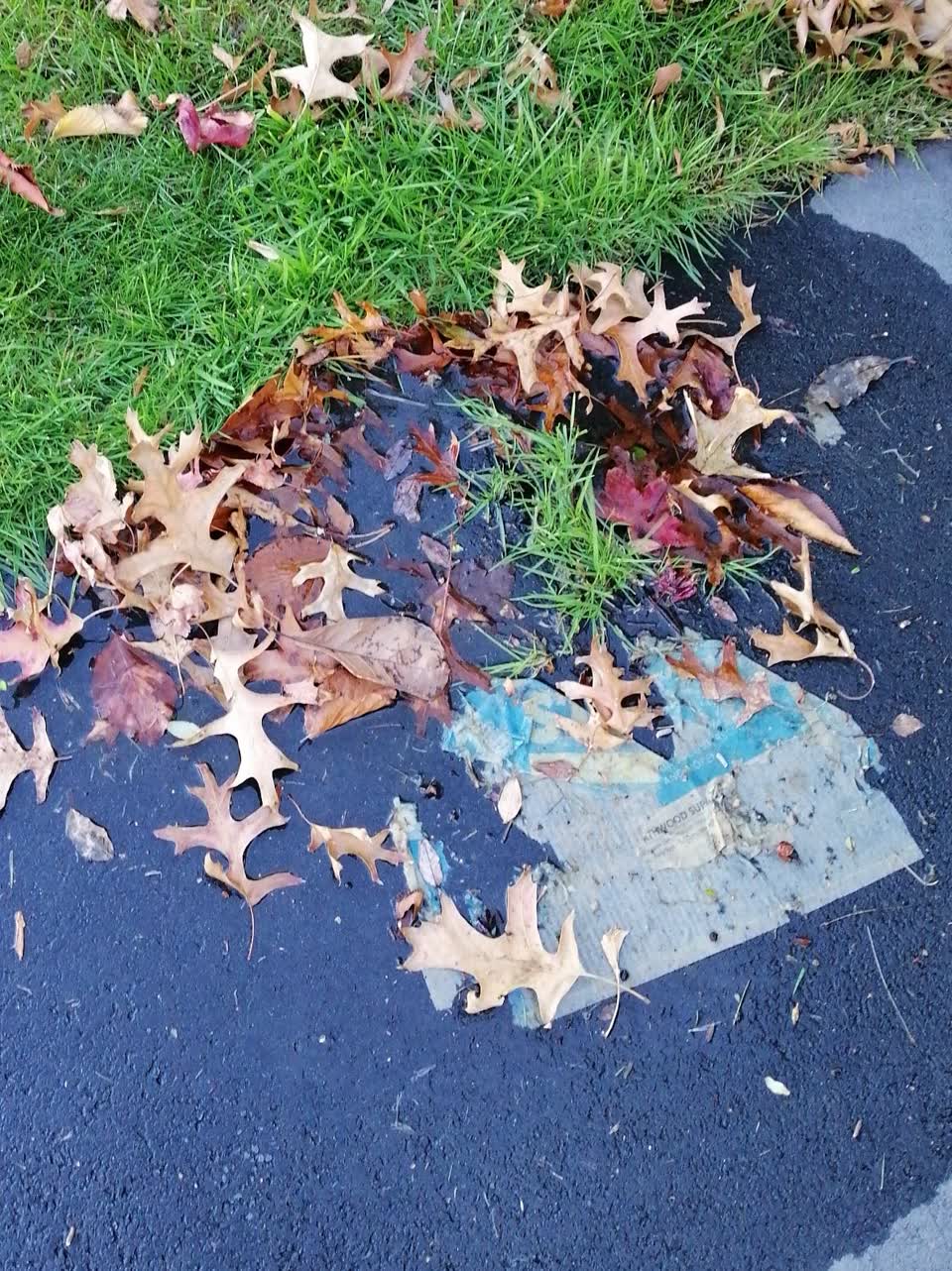 The photograph attached to this water supply report
