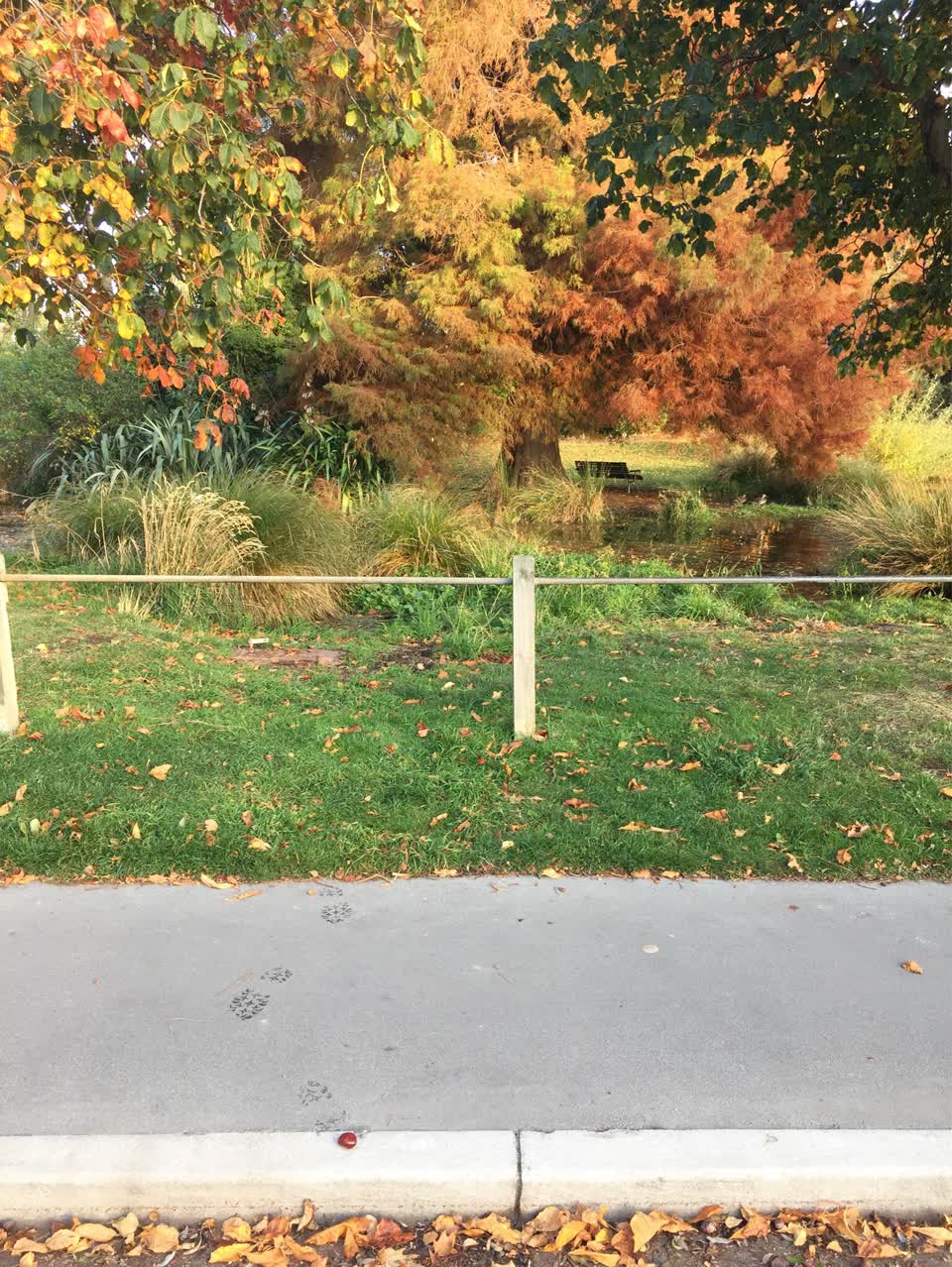 The photograph attached to this wastewater/stormwater report