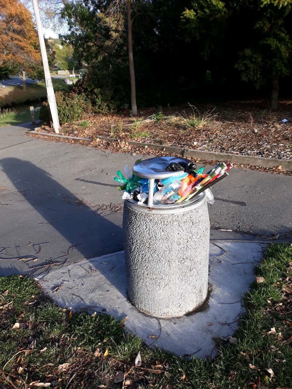 The photograph attached to this parks report