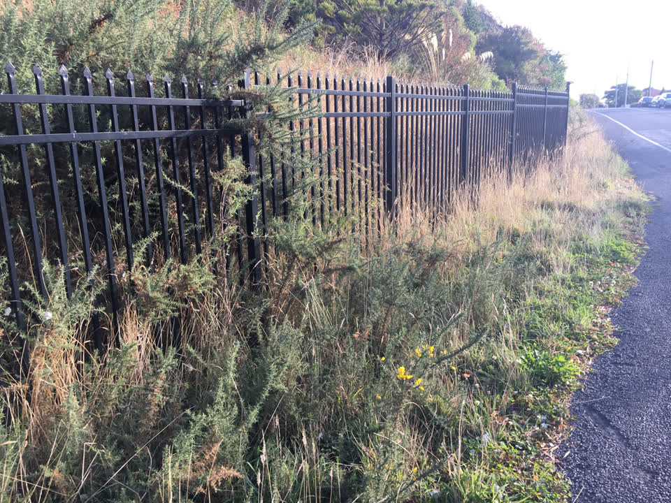 The photograph attached to this parks report