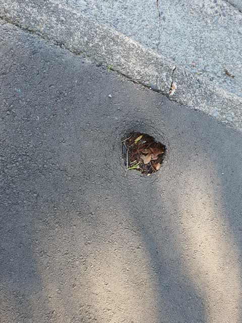 Roading/Streets, a report photo