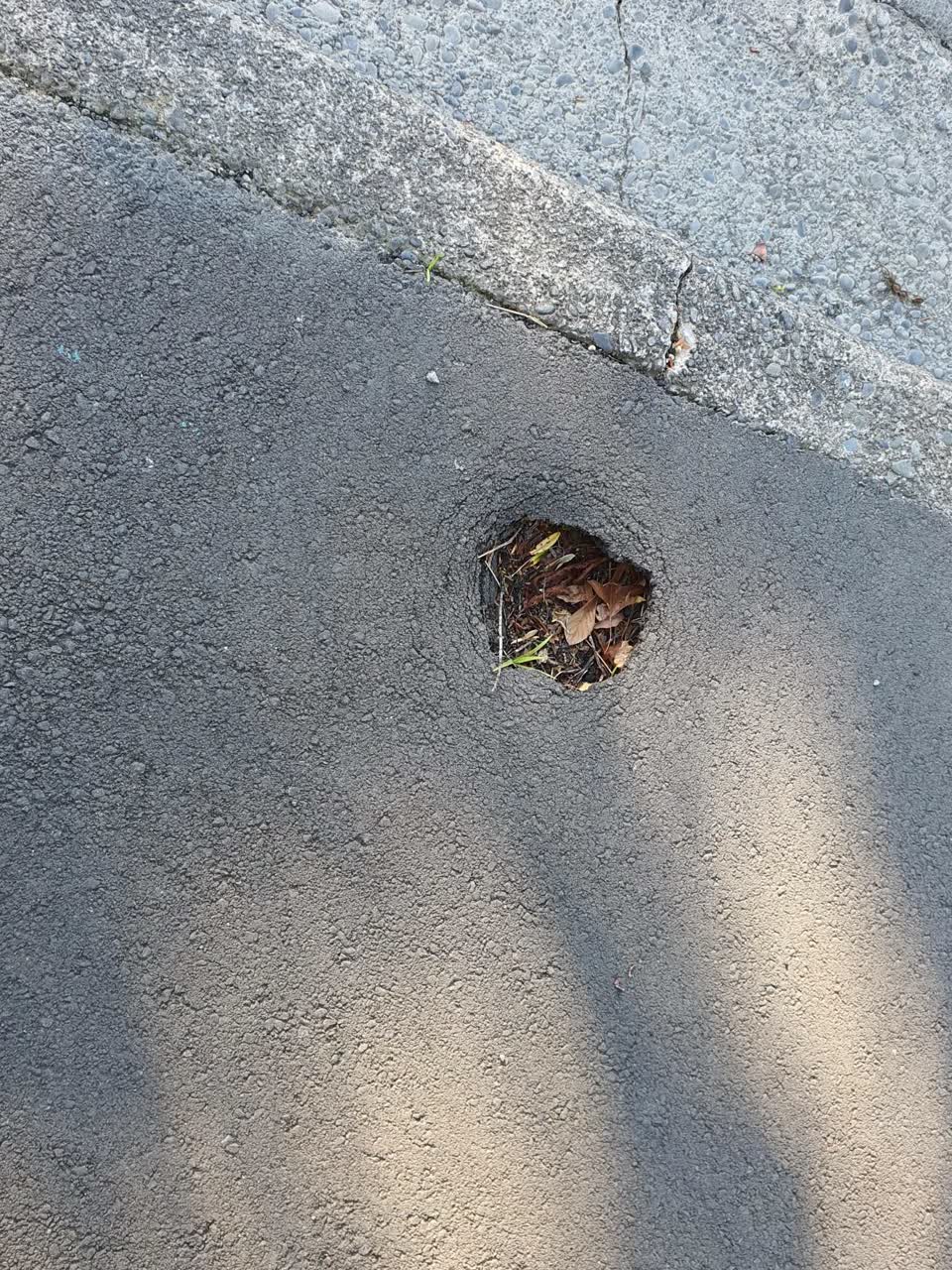 The photograph attached to this roading/streets report
