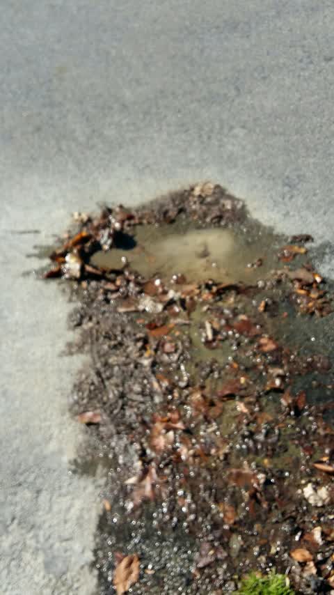 Water Supply, a report photo